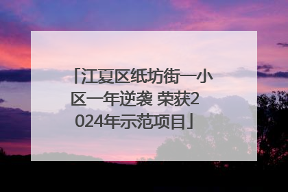 江夏区纸坊街一小区一年逆袭 荣获2024年示范项目