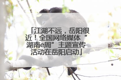 江湖不远，岳阳很近！全国网络媒体“湖南e周”主题宣传活动在岳阳启动