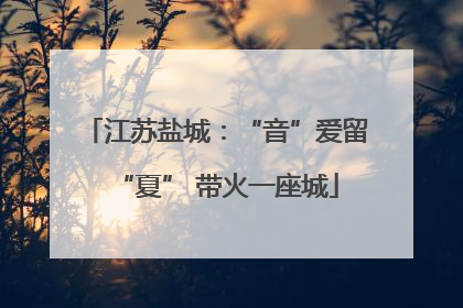 江苏盐城：“音”爱留“夏” 带火一座城