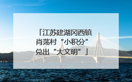 江苏建湖冈西镇肖荡村“小积分”兑出“大文明”