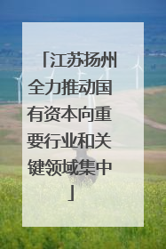江苏扬州全力推动国有资本向重要行业和关键领域集中