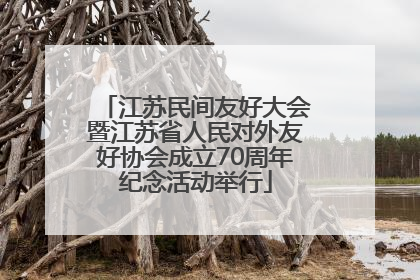 江苏民间友好大会暨江苏省人民对外友好协会成立70周年纪念活动举行