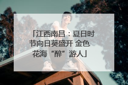 江西南昌：夏日时节向日葵盛开 金色花海“醉”游人
