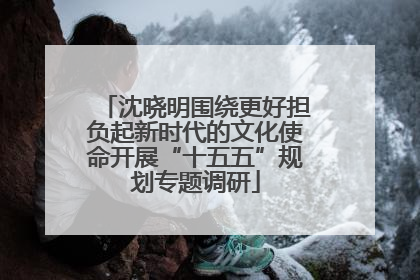 沈晓明围绕更好担负起新时代的文化使命开展“十五五”规划专题调研