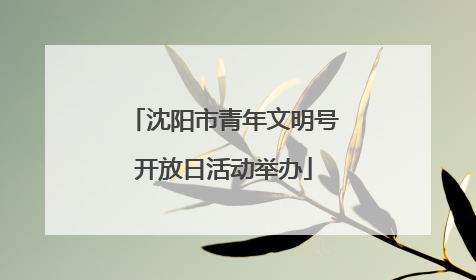 沈阳市青年文明号开放日活动举办
