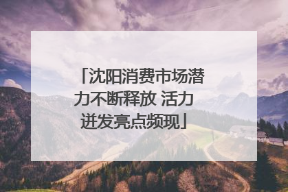 沈阳消费市场潜力不断释放 活力迸发亮点频现