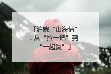 沪皖“山海情”：从“拉一把”到“一起赢”