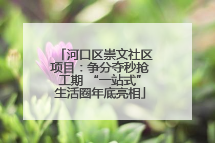 河口区崇文社区项目：争分夺秒抢工期 “一站式”生活圈年底亮相