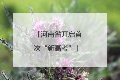 河南省开启首次“新高考”