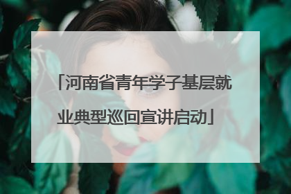 河南省青年学子基层就业典型巡回宣讲启动