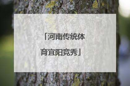 河南传统体育宜阳竞秀