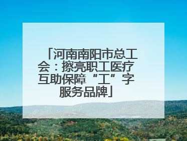 河南南阳市总工会：擦亮职工医疗互助保障“工”字服务品牌