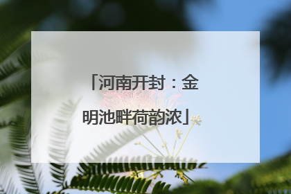 河南开封：金明池畔荷韵浓