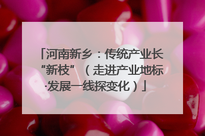 河南新乡：传统产业长“新枝”（走进产业地标·发展一线探变化）