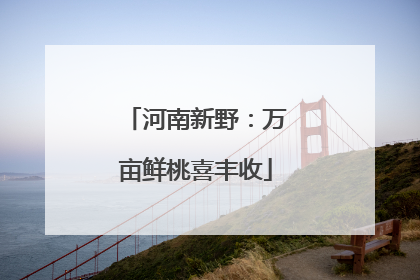 河南新野：万亩鲜桃喜丰收