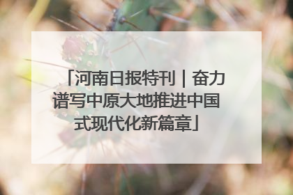 河南日报特刊｜奋力谱写中原大地推进中国式现代化新篇章