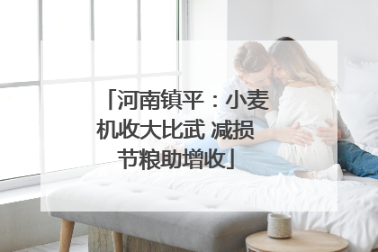 河南镇平：小麦机收大比武 减损节粮助增收