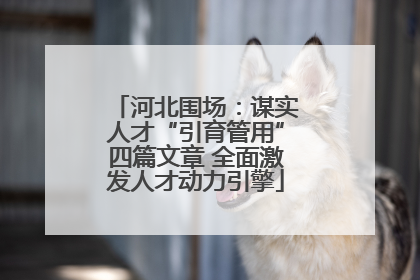 河北围场：谋实人才“引育管用”四篇文章 全面激发人才动力引擎