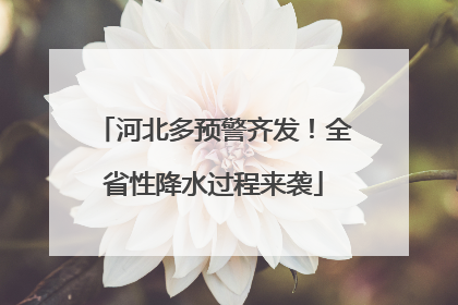 河北多预警齐发！全省性降水过程来袭