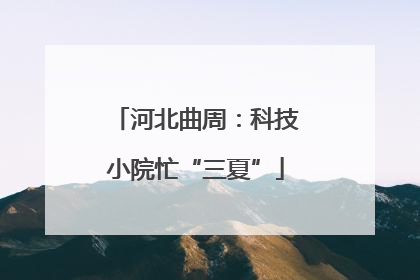 河北曲周：科技小院忙“三夏”