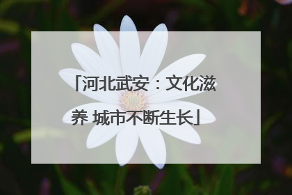 河北武安：文化滋养 城市不断生长