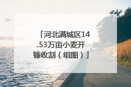 河北满城区14.53万亩小麦开镰收割（组图）