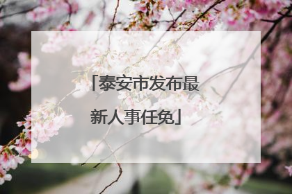 泰安市发布最新人事任免