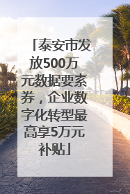 泰安市发放500万元数据要素券，企业数字化转型最高享5万元补贴