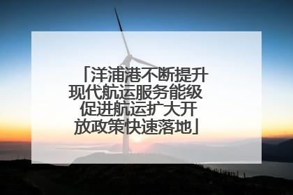 洋浦港不断提升现代航运服务能级 促进航运扩大开放政策快速落地