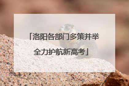洛阳各部门多策并举 全力护航新高考