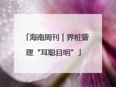 海南周刊｜界桩管理“耳聪目明”