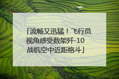 流畅又迅猛！飞行员视角感受数架歼-10战机空中近距格斗