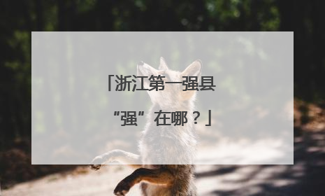浙江第一强县“强”在哪？