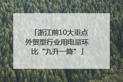 浙江前10大重点外贸型行业用电量环比“九升一降”
