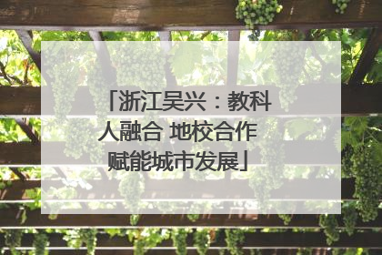 浙江吴兴：教科人融合 地校合作赋能城市发展