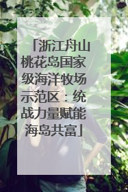 浙江舟山桃花岛国家级海洋牧场示范区：统战力量赋能海岛共富