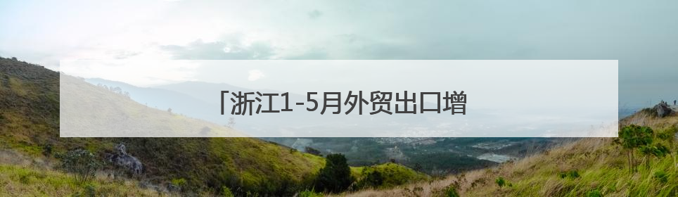 浙江1-5月外贸出口增长6.5%，领跑全国