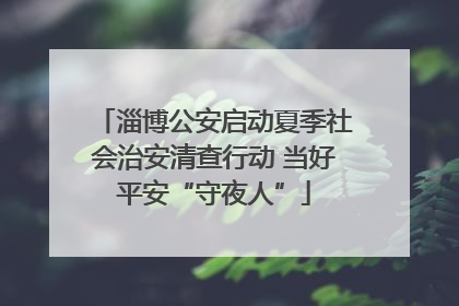 淄博公安启动夏季社会治安清查行动 当好平安“守夜人”