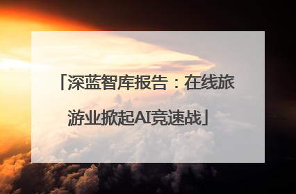 深蓝智库报告：在线旅游业掀起AI竞速战