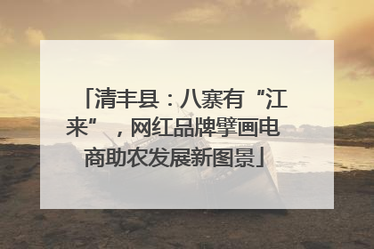 清丰县：八寨有“江来”，网红品牌擘画电商助农发展新图景