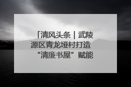 清风头条｜武陵源区青龙垭村打造“清廉书屋”赋能乡村振兴新风尚