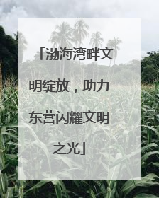 渤海湾畔文明绽放，助力东营闪耀文明之光