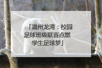 温州龙湾：校园足球班级联赛点燃学生足球梦