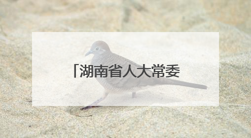 湖南省人大常委会最新人事任免