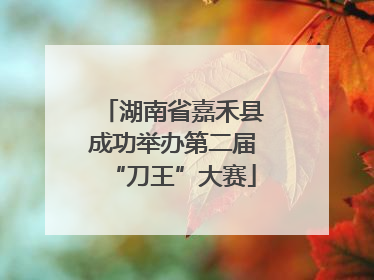湖南省嘉禾县成功举办第二届“刀王”大赛