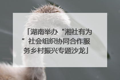 湖南举办“湘社有为”社会组织协同合作服务乡村振兴专题沙龙