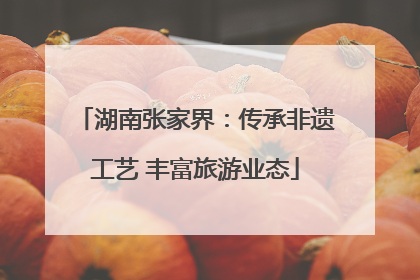 湖南张家界：传承非遗工艺 丰富旅游业态