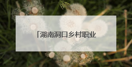 湖南洞口乡村职业经理人下乡踏勘 为乡村振兴添动能