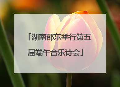 湖南邵东举行第五届端午音乐诗会