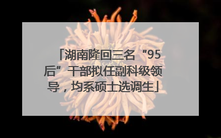 湖南隆回三名“95后”干部拟任副科级领导，均系硕士选调生